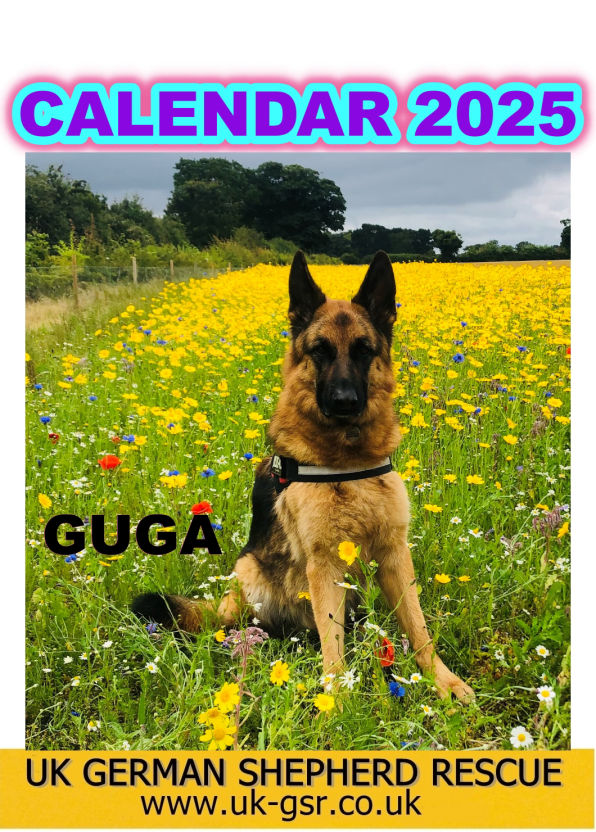 Calendar option 2